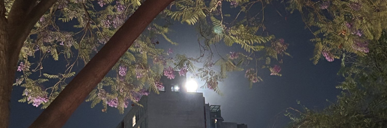 LuisAlborez's profile banner image
