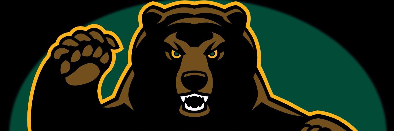 BaylorNick's profile banner image