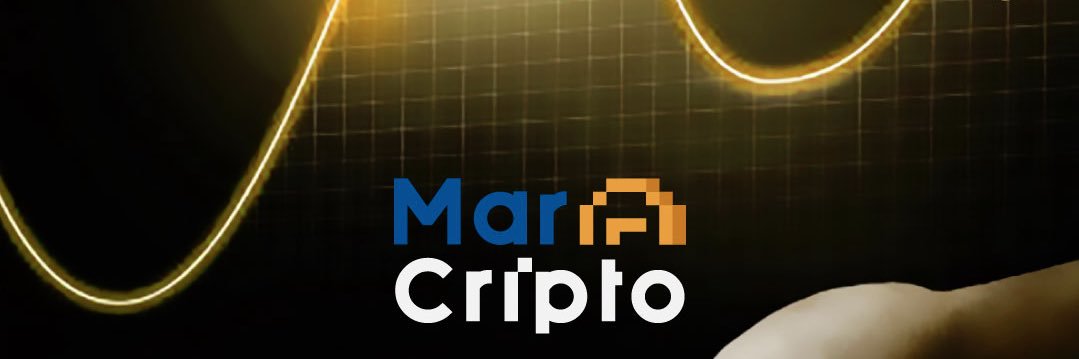 felipebtrader's profile banner image