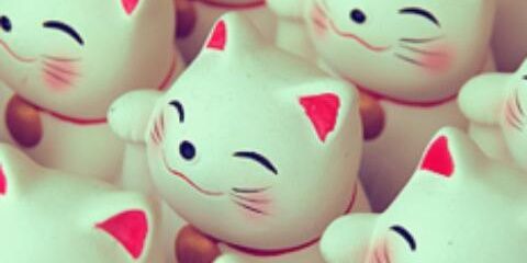 SoyLemos's profile banner image