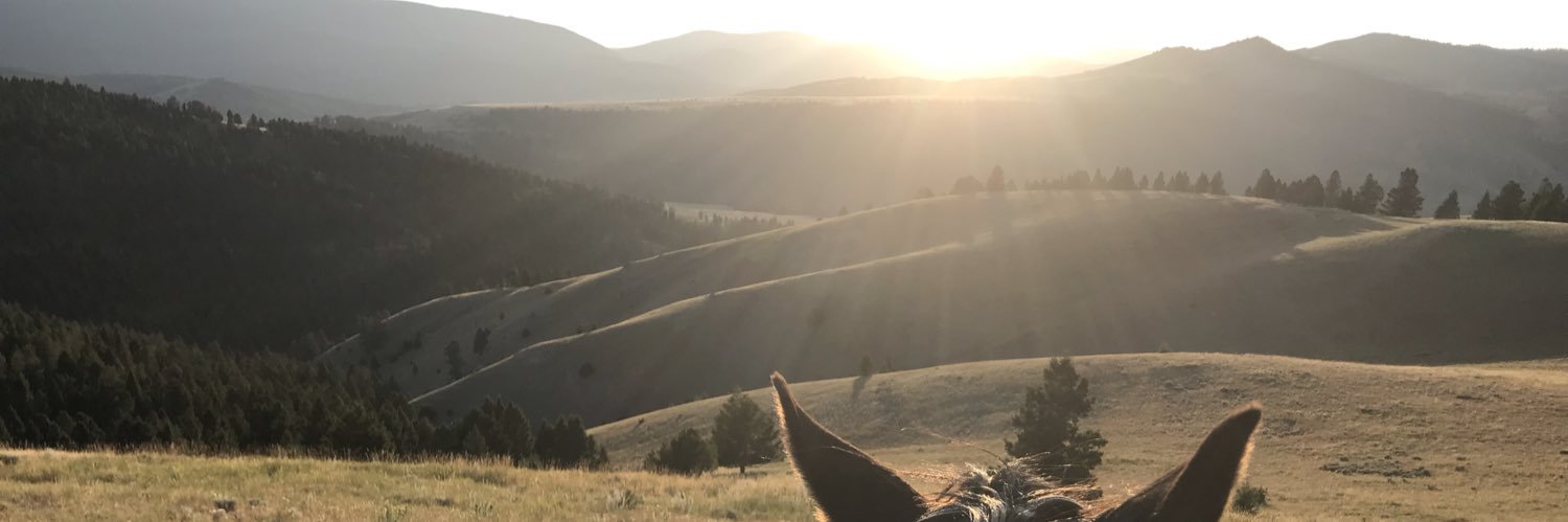 theotherdopp's profile banner image