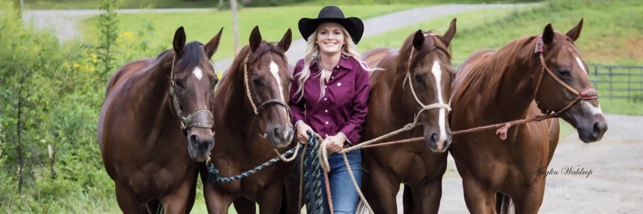 Laney_robinson2's profile banner image
