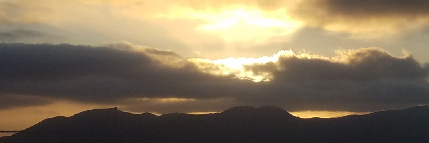 marcyrobertson's profile banner image