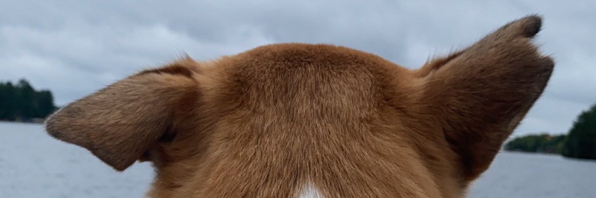 CourtneyRice22's profile banner image