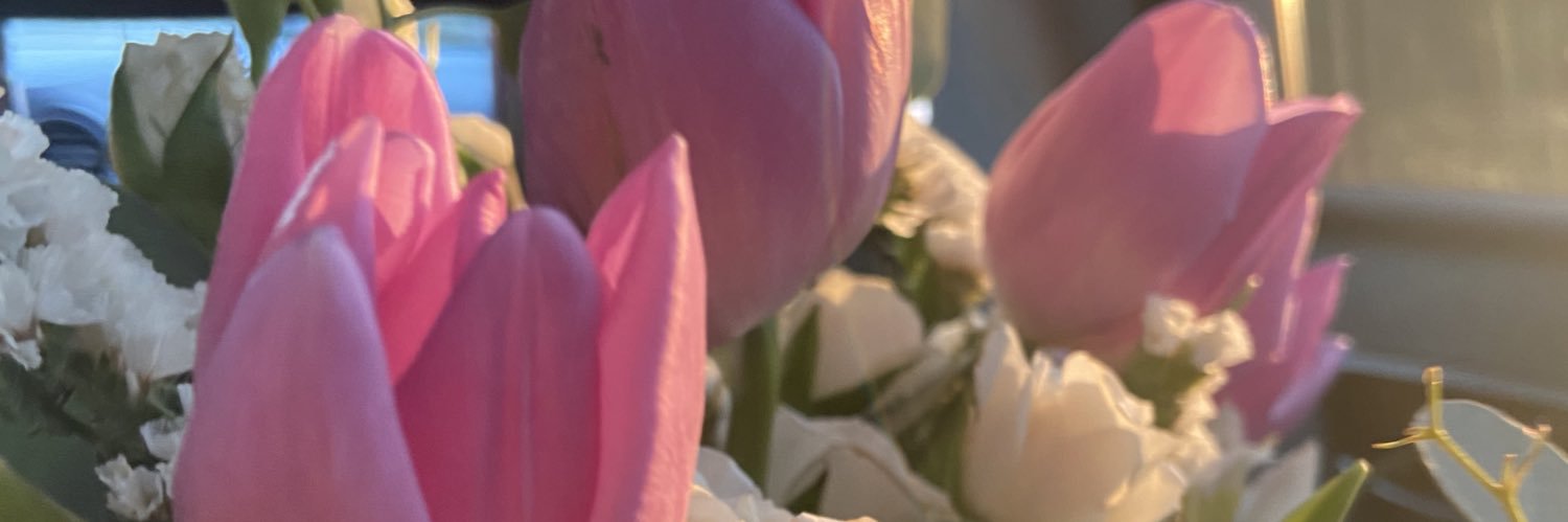 Reeynapacheco's profile banner image