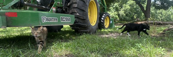 MikeDtho Profile Banner