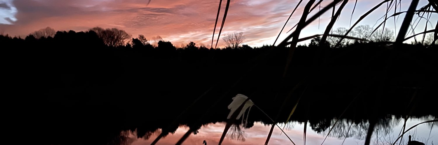 breeeenic's profile banner image