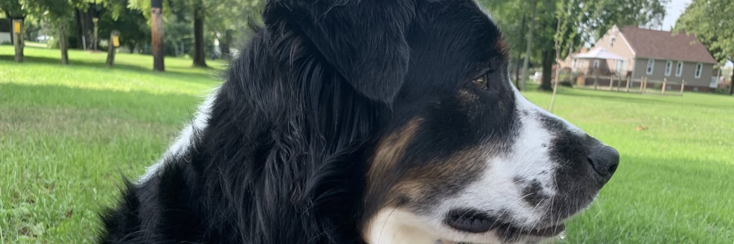 H_Ebess's profile banner image