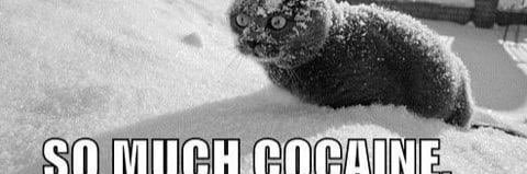 bddroid's profile banner image