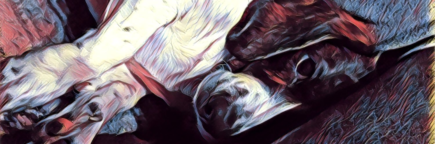 CobbTommy's profile banner image