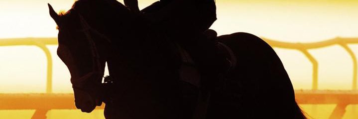 amoudifo's profile banner image