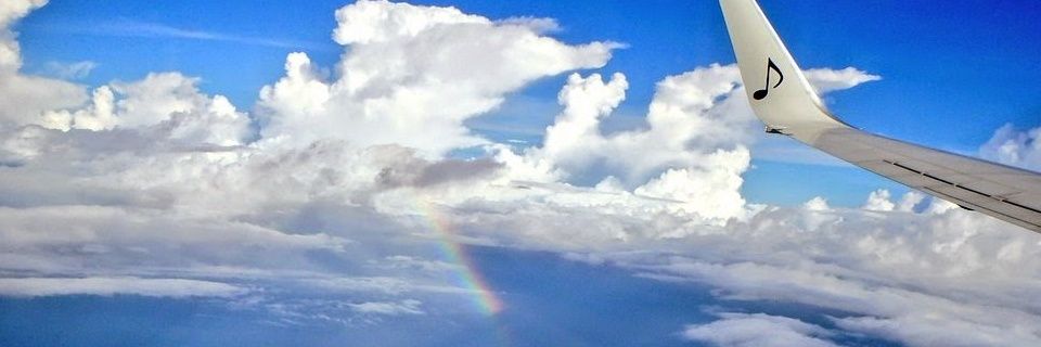 なえぴゃん banner