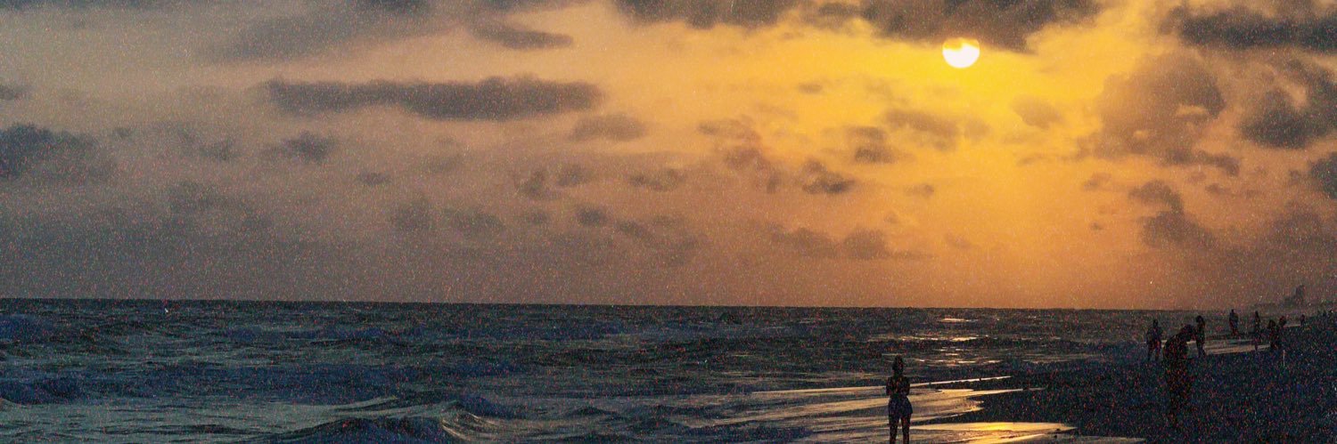 MichelleTodd07's profile banner image