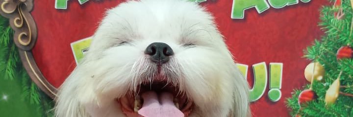 tinkerfps's profile banner image
