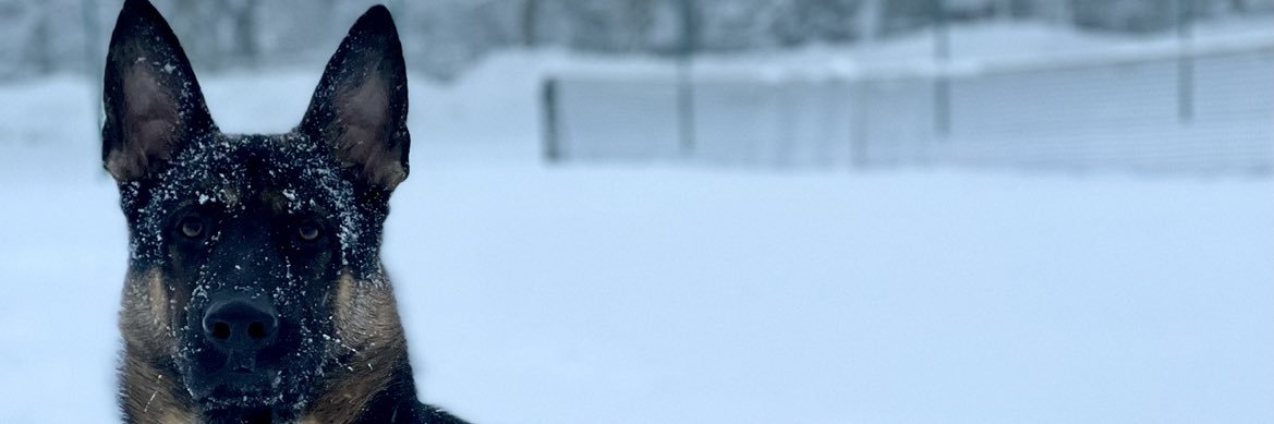 kgreen345423's profile banner image