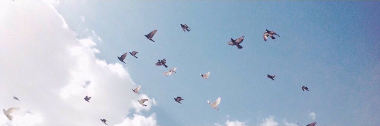 DeeBahli's profile banner image