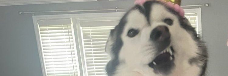 ThePengen's profile banner image