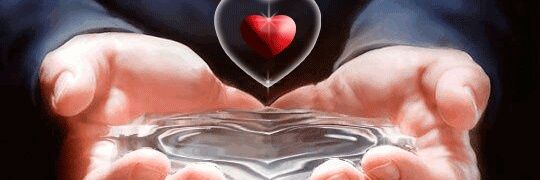marcelo89327249's profile banner image