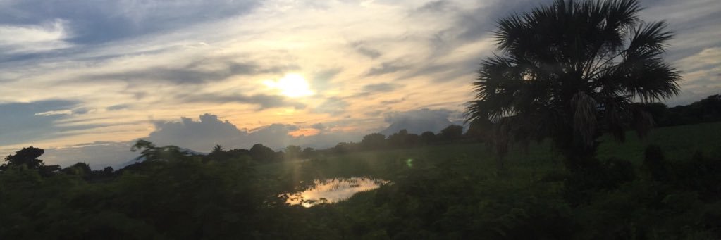 ilselopezG's profile banner image