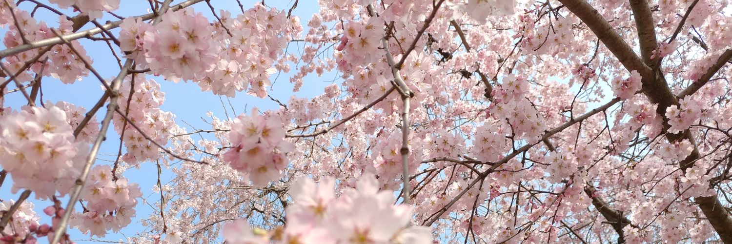 maengnaeng's profile banner image