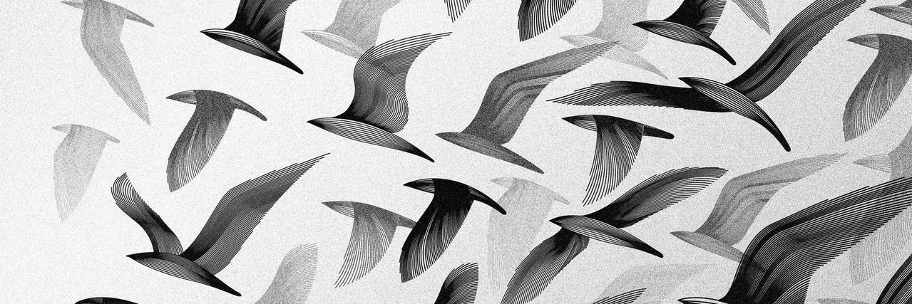 ichaputrics's profile banner image