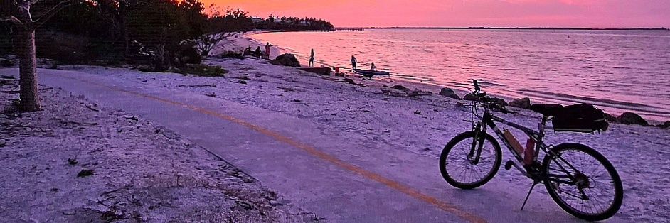 CharFlorida's profile banner image