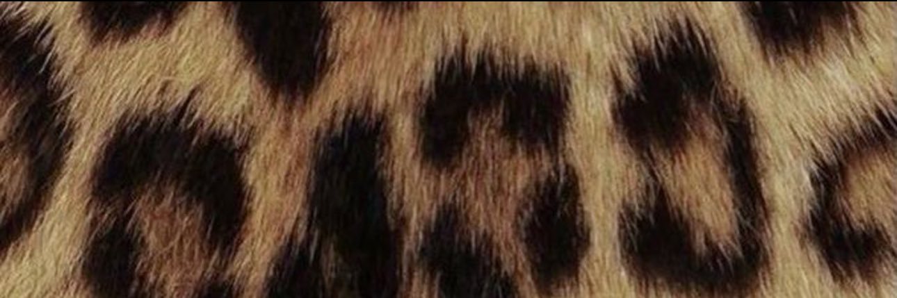 _damngabby's profile banner image
