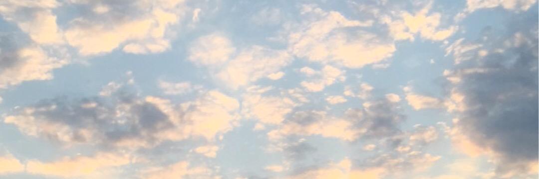 _bernicesrosas's profile banner image