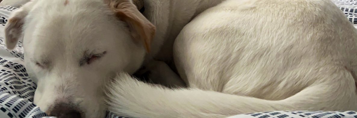 Reads_86's profile banner image