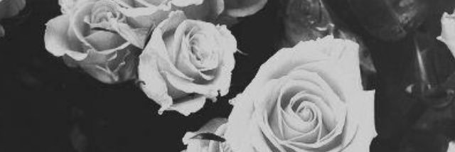 Mayraev5's profile banner image
