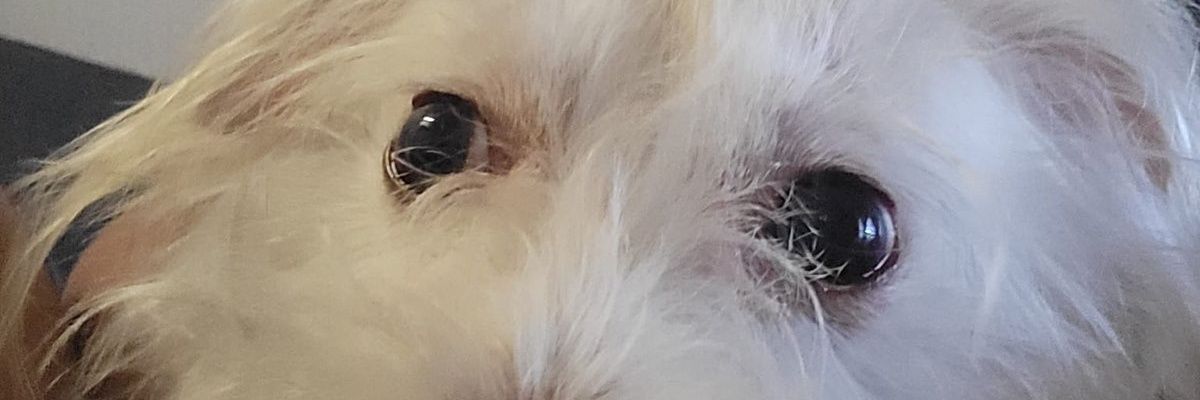 Eliott69's profile banner image