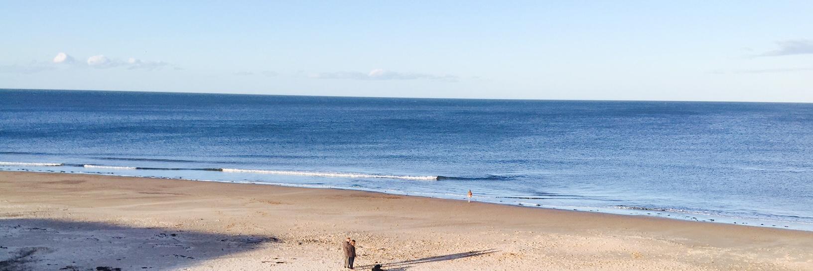 Heather Cooper banner