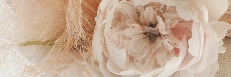 Sally banner