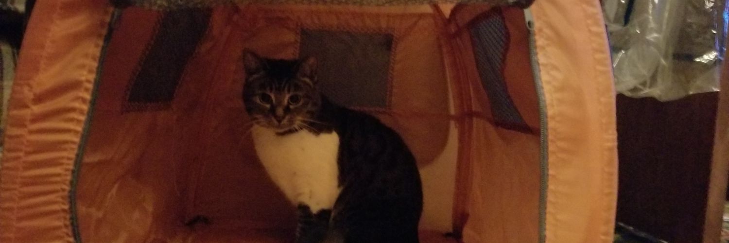 coasterkat's profile banner image