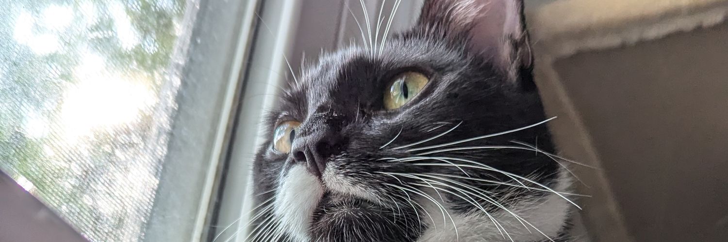kitsuneking's profile banner image