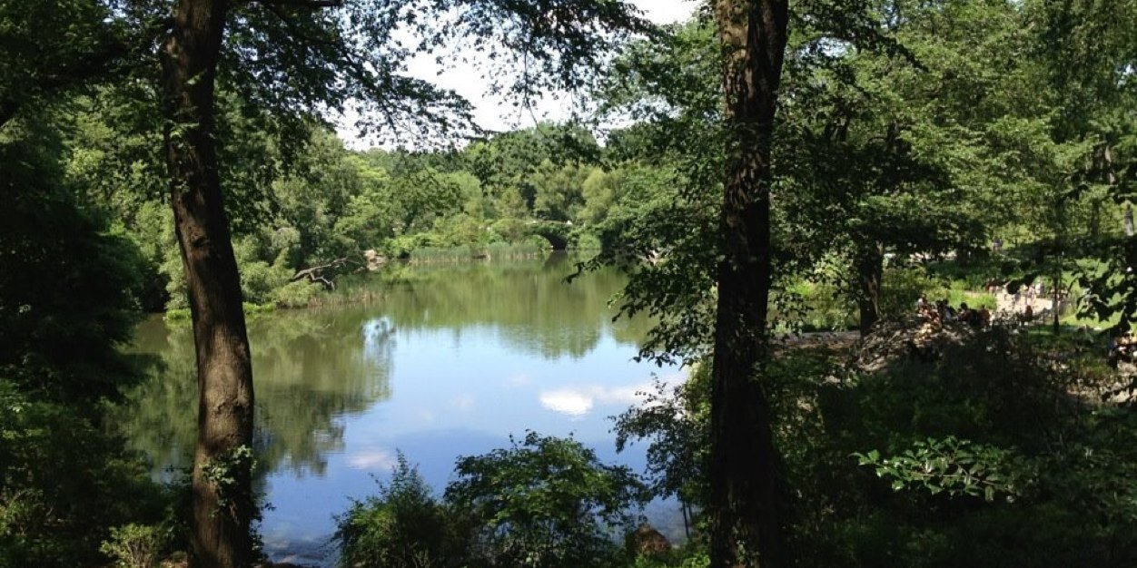 Sarah Louise Burgin banner