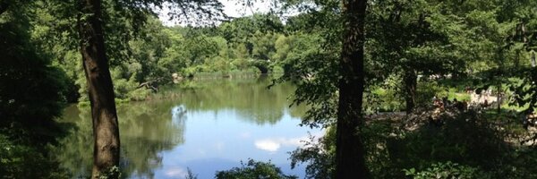 Sarah_Burgin Profile Banner