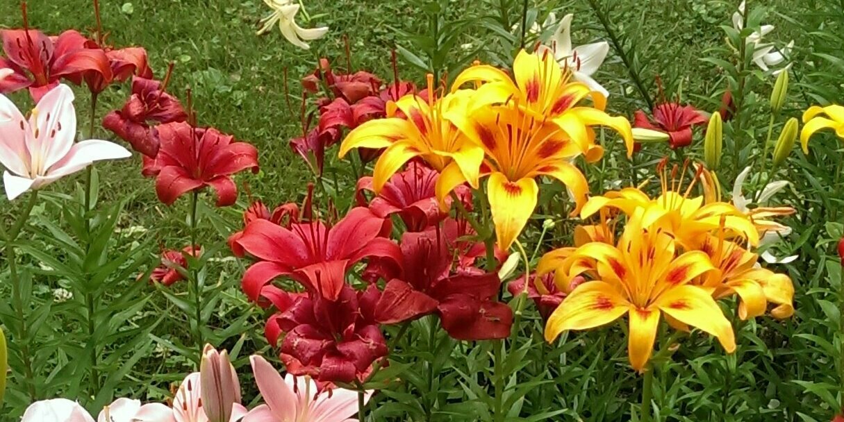 MarieCeee's profile banner image