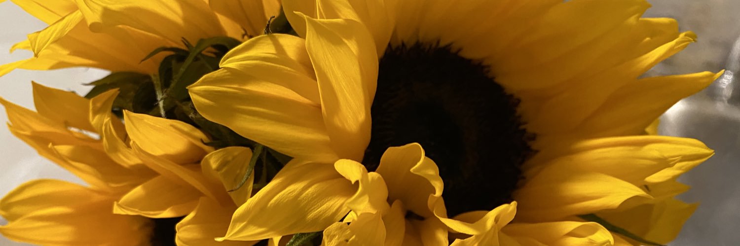 KaseKase__'s profile banner image
