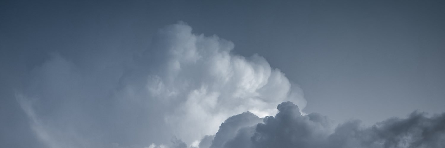 SardonicParrot's profile banner image