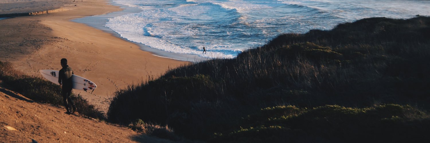 bearicci__'s profile banner image
