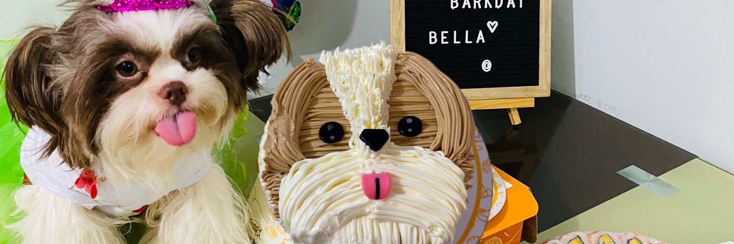 ViahP's profile banner image
