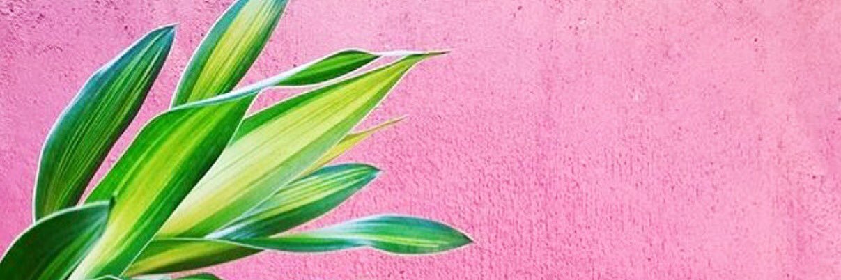 Karla Benavides banner