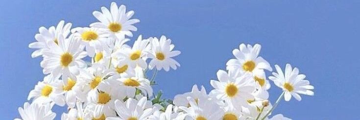 nadyafith's profile banner image