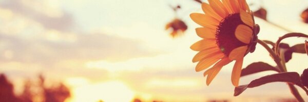 lhengreyes Profile Banner