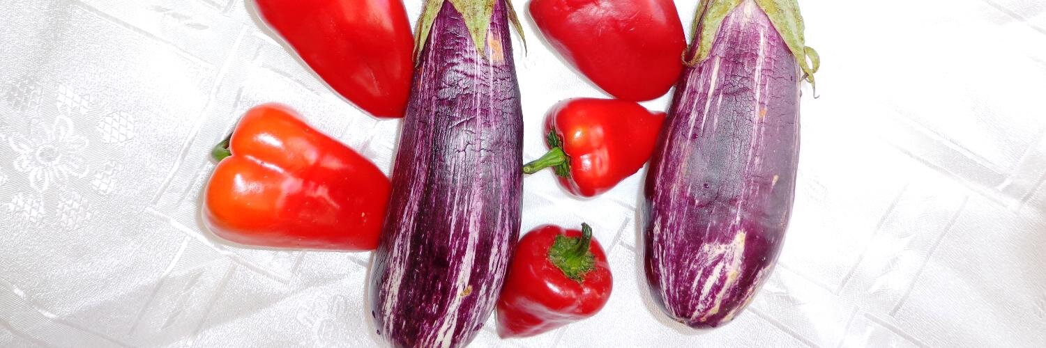 AgrogenSA's profile banner image