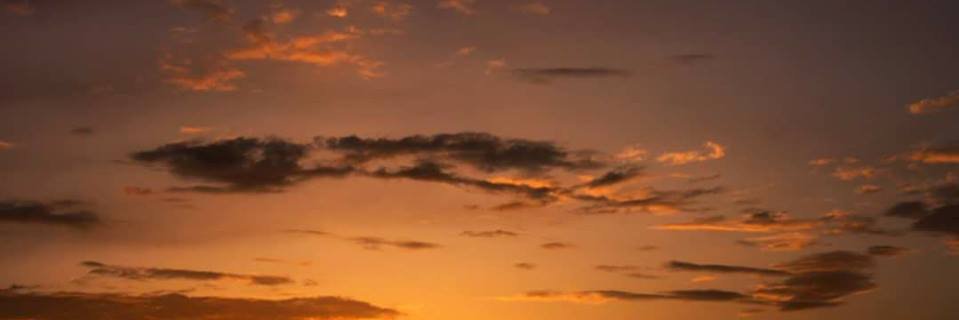 elsamacia98's profile banner image
