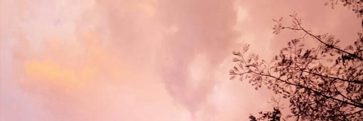 VictoryannaP's profile banner image