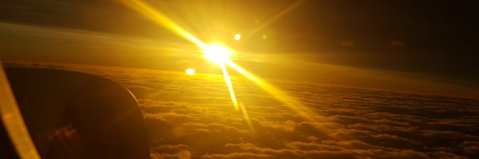 Rebecca Halpin banner