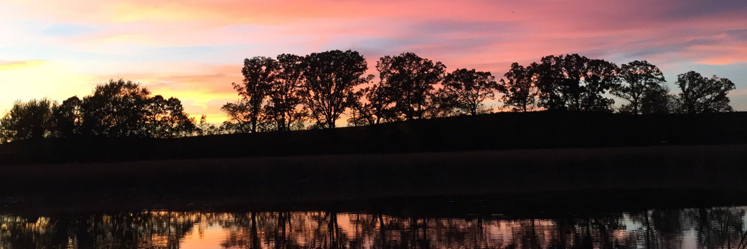 EngelmeyerTyler's profile banner image